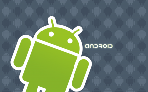 Android - The Mobile phone OS