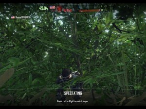 Sniper in the bushes