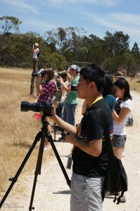 Photographers in a Line