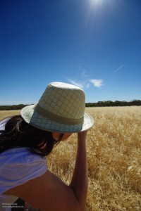 Surveying the countryside